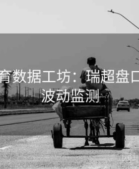 易游体育数据工坊：瑞超盘口冷热×波动监测