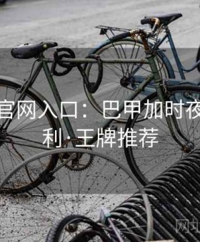 金年会官网入口：巴甲加时夜压哨套利·王牌推荐