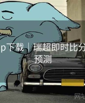 开云app下载｜瑞超即时比分与专家预测