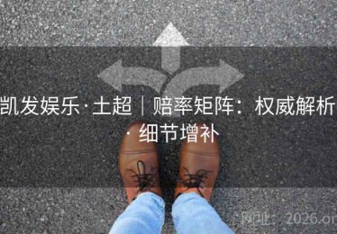 凯发娱乐·土超｜赔率矩阵：权威解析 · 细节增补