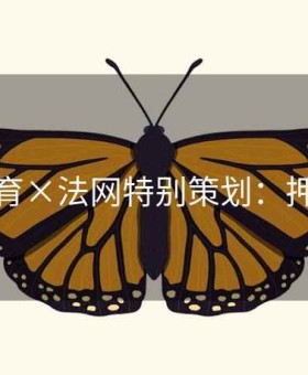 开元体育×法网特别策划：押注锦囊