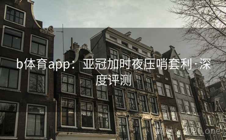 b体育app：亚冠加时夜压哨套利·深度评测